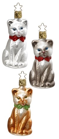 Purr-fect<br>3 Assorted Cats